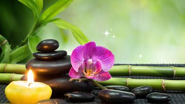 Reiki and Guided Meditation